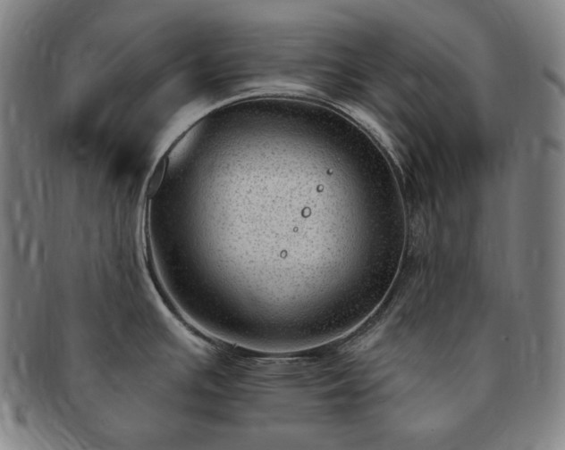 X0000091471391200708231329