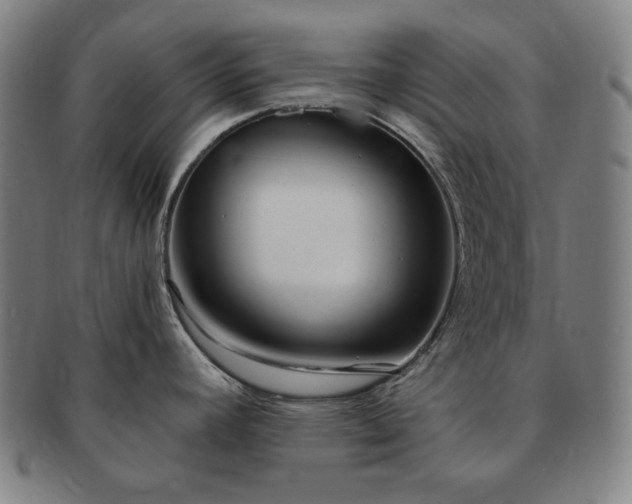 X0000091471392200708231329