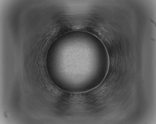 X0000091471393200708231328