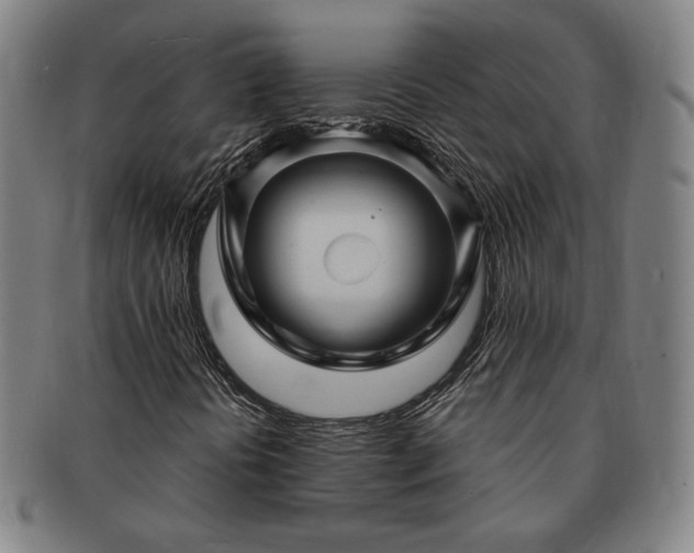 X0000091471394200708231328