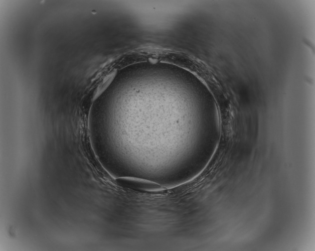 X0000091471397200708231328