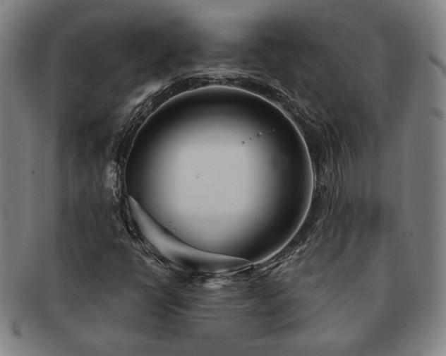 X0000091471398200708231328