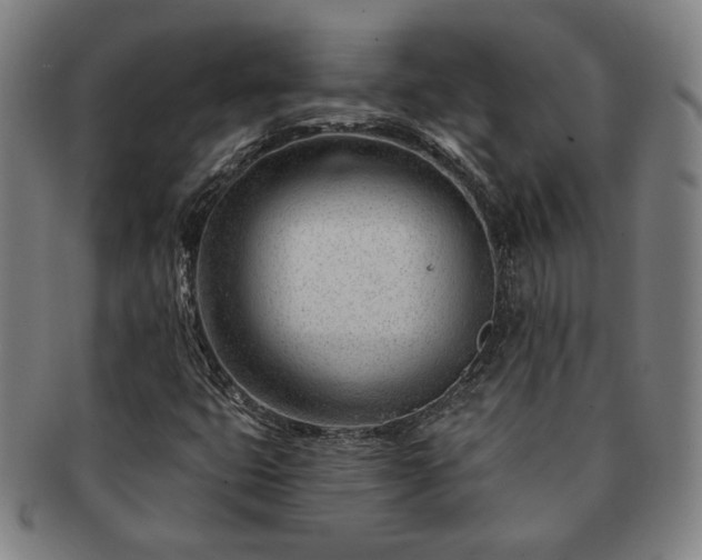 X0000091471399200708231328