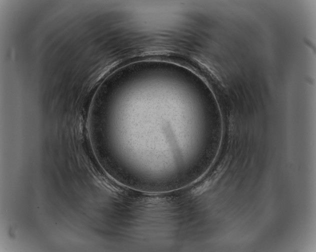 X0000091471401200708231328