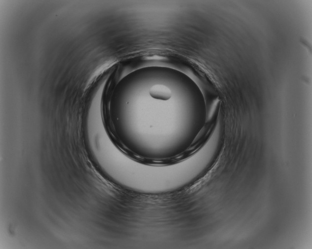 X0000091471402200708231328