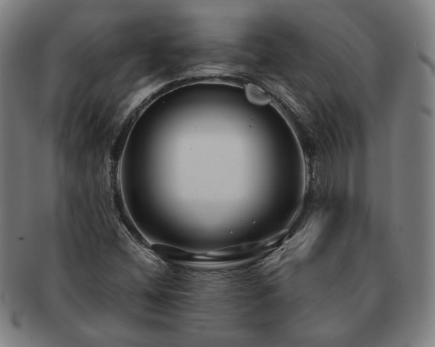 X0000091471404200708231328