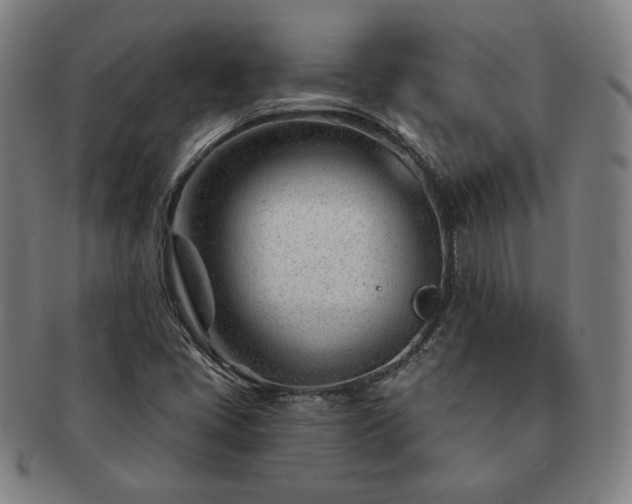 X0000091471405200708231328