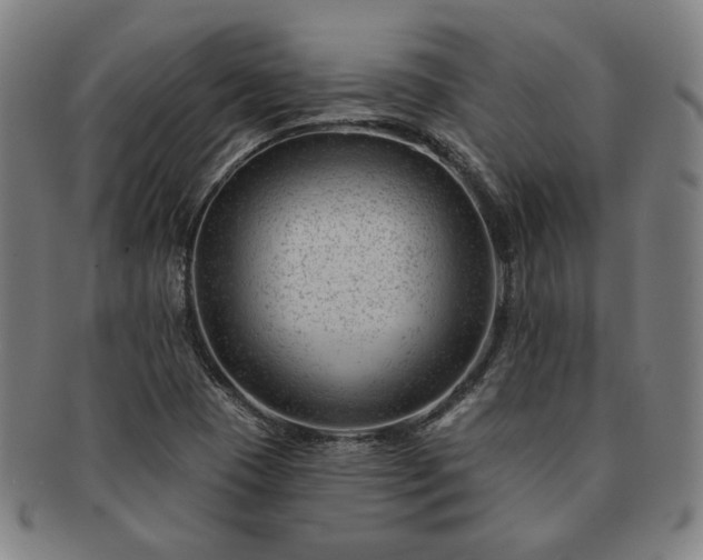 X0000091471409200708231328