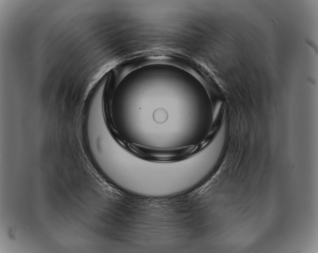 X0000091471410200708231328