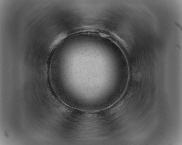 X0000091471411200708231328