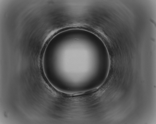 X0000091471412200708231328