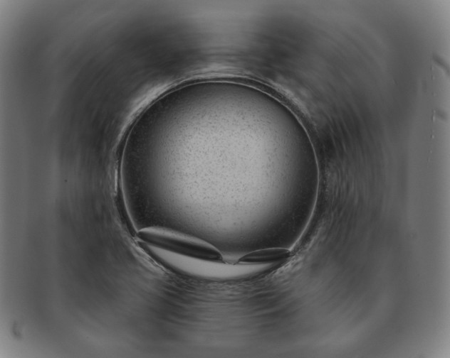 X0000091471413200708231328