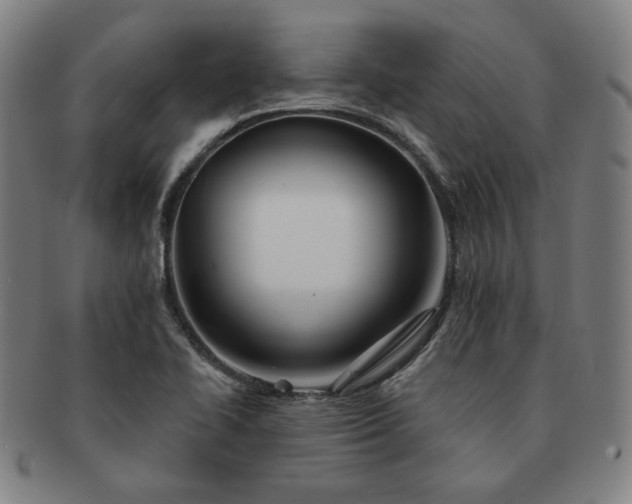 X0000091471414200708231328