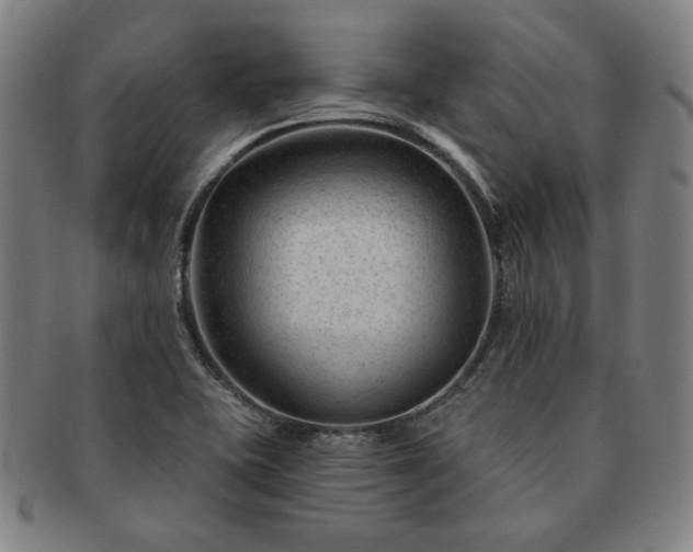 X0000091471415200708231328