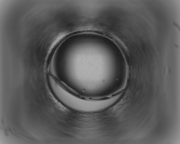 X0000091471416200708231328