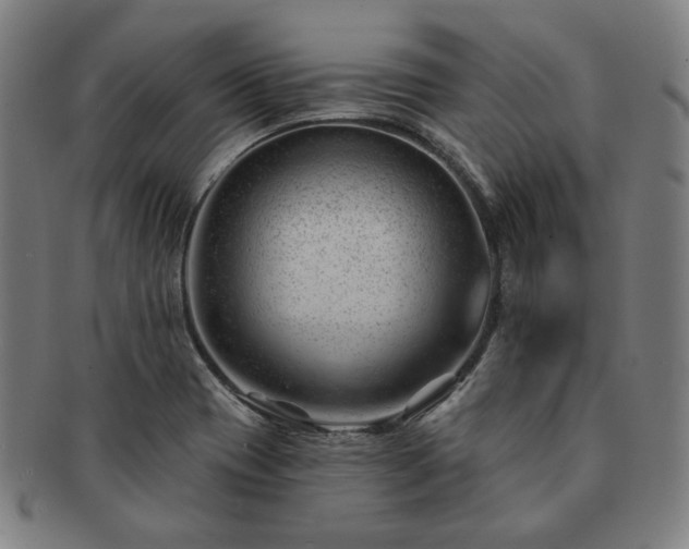 X0000091471417200708231328