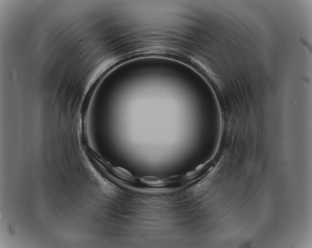 X0000091471418200708231328