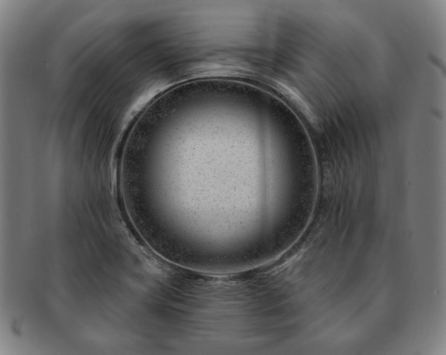 X0000091471419200708231328