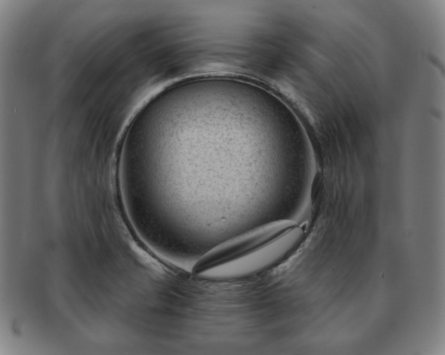 X0000091471421200708231328