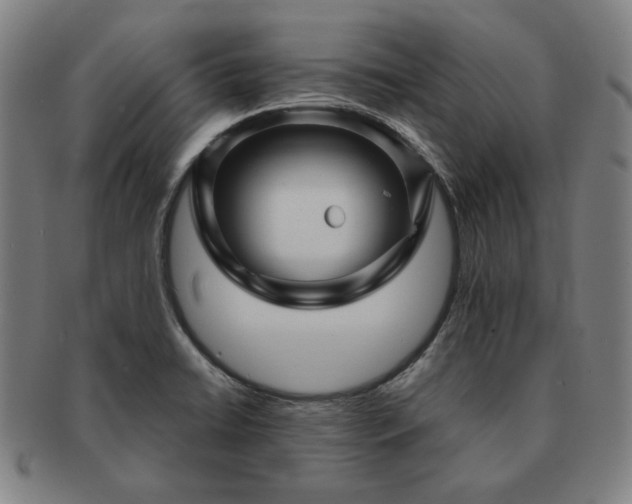 X0000091471422200708231328