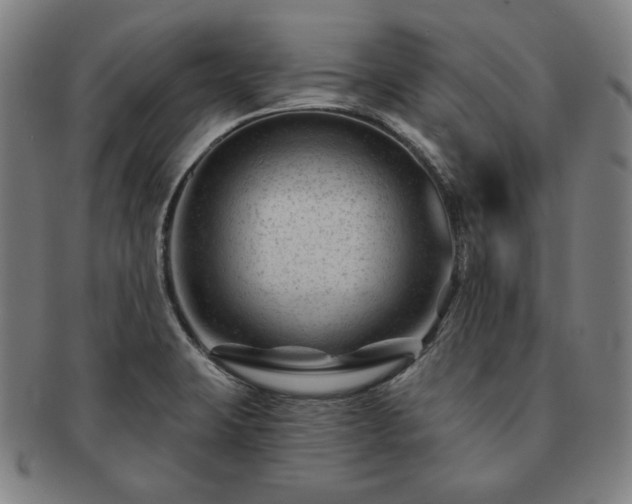 X0000091471423200708231328