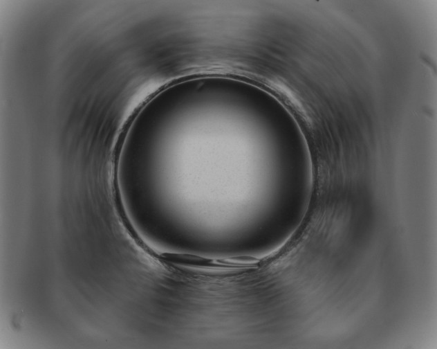 X0000091471424200708231328