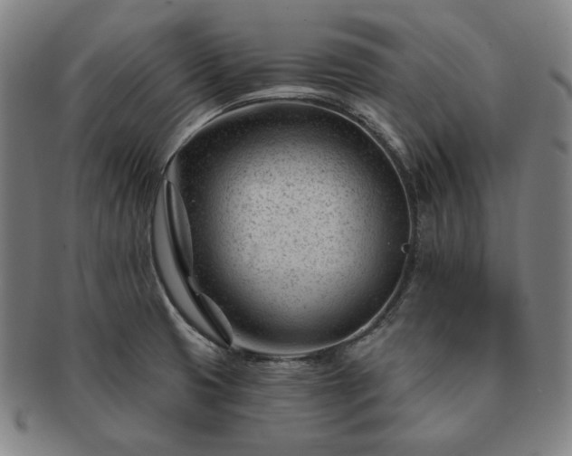 X0000091471425200708231328