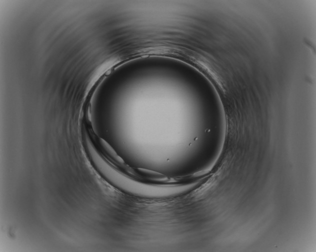 X0000091471426200708231328