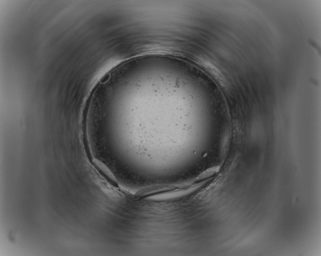 X0000091471427200708231329