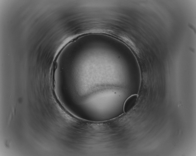 X0000091471428200708231329