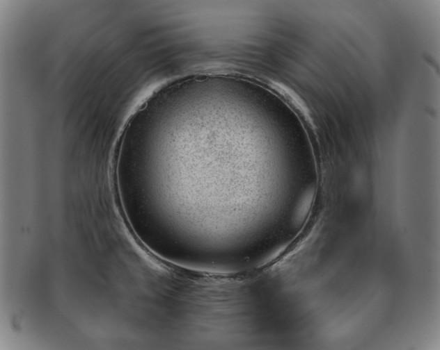 X0000091471429200708231329