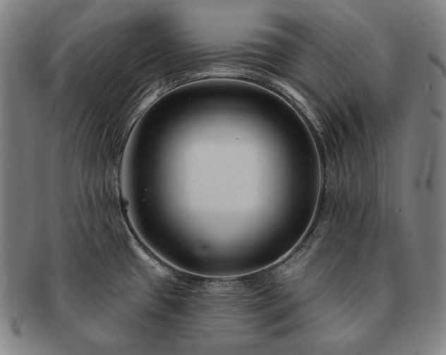 X0000091471433200708231329