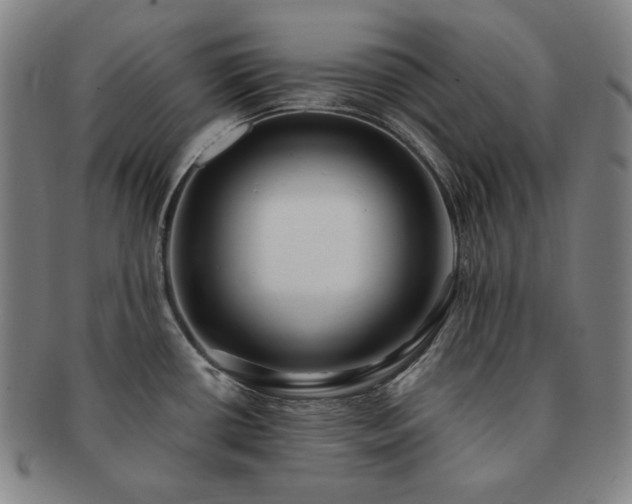 X0000091471434200708231329