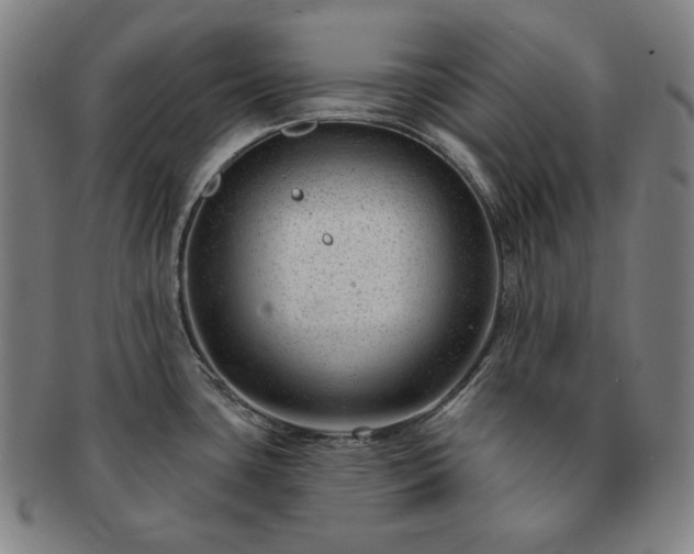 X0000091471435200708231329