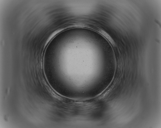 X0000091471436200708231329