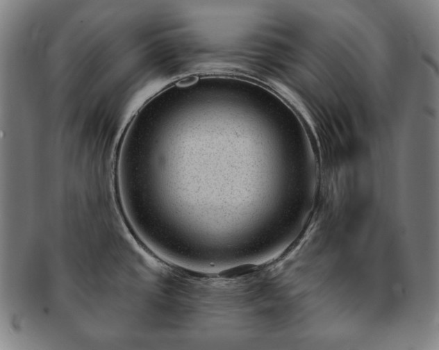 X0000091471437200708231329