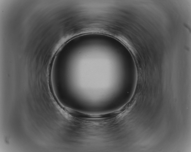 X0000091471438200708231329