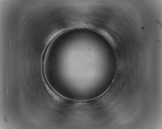 X0000091471439200708231329