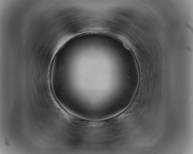 X0000091471440200708231329