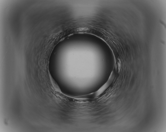 X0000091471441200708231328