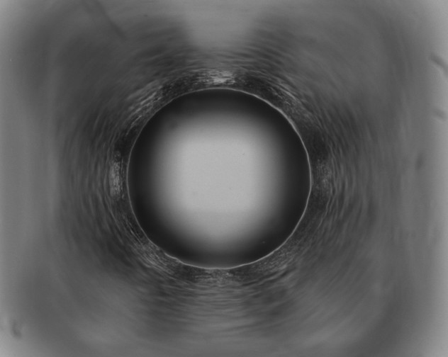 X0000091471442200708231328