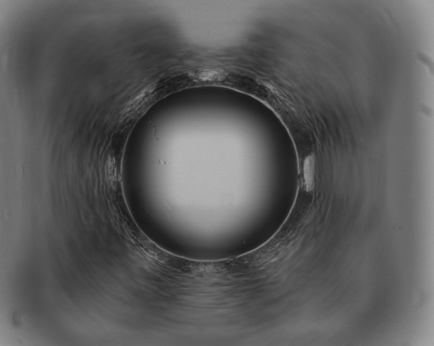 X0000091471443200708231328