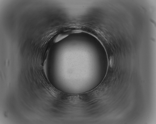 X0000091471444200708231328