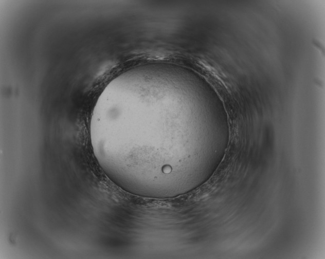 X0000091471446200708231328