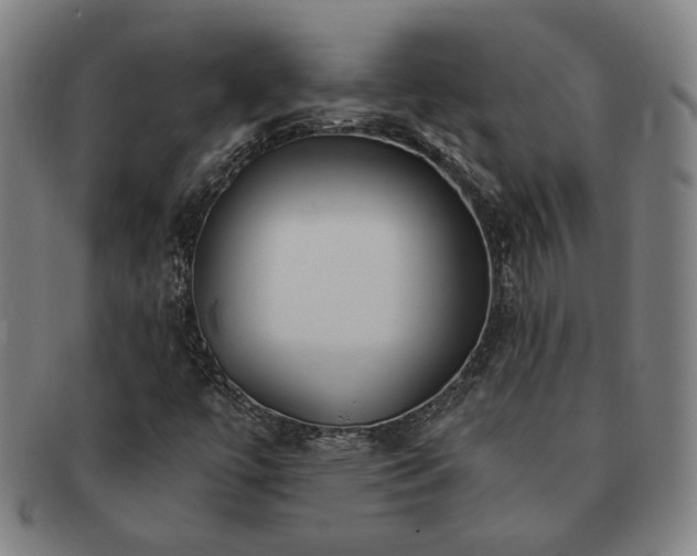 X0000091471447200708231328