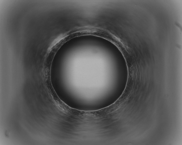 X0000091471448200708231328