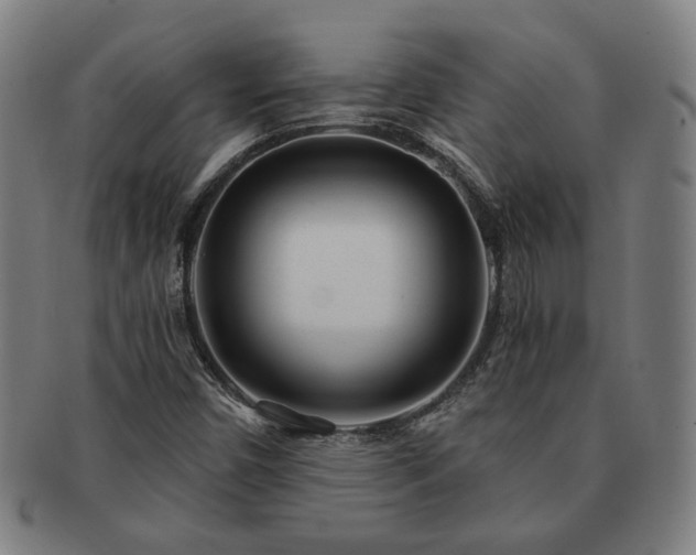 X0000091471450200708231328