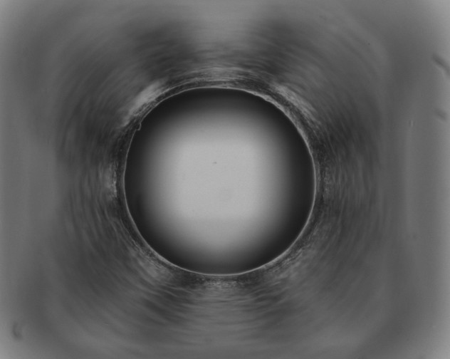 X0000091471451200708231328