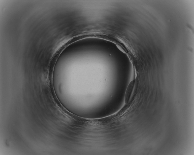 X0000091471452200708231328