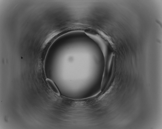 X0000091471453200708231328